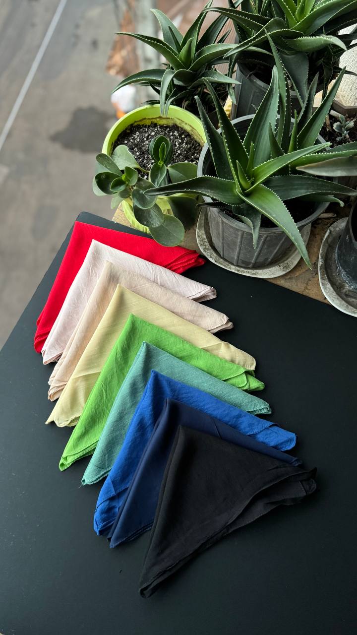 photo_2_2025-09-05_22-06-55