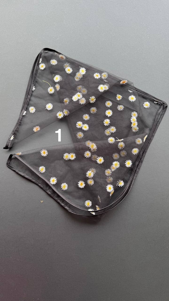 photo_3_2025-02-28_11-27-47