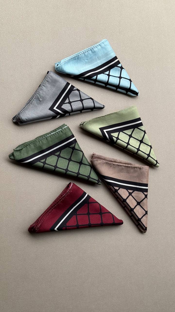 photo_4_2025-02-12_12-47-03