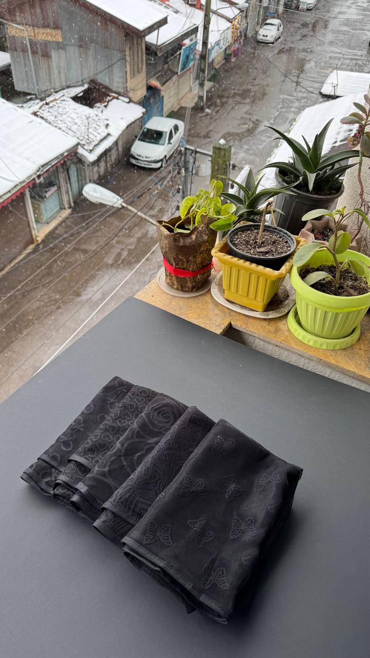 photo_5_2025-02-09_06-20-52