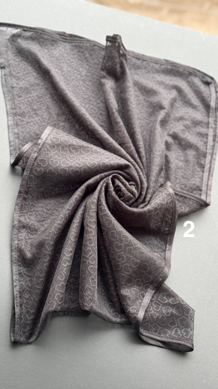 photo_6_2025-02-09_06-20-52