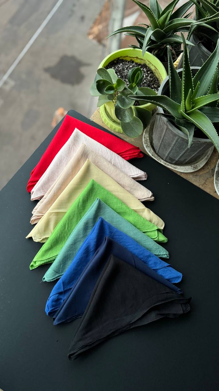 photo_6_2025-09-05_22-06-55