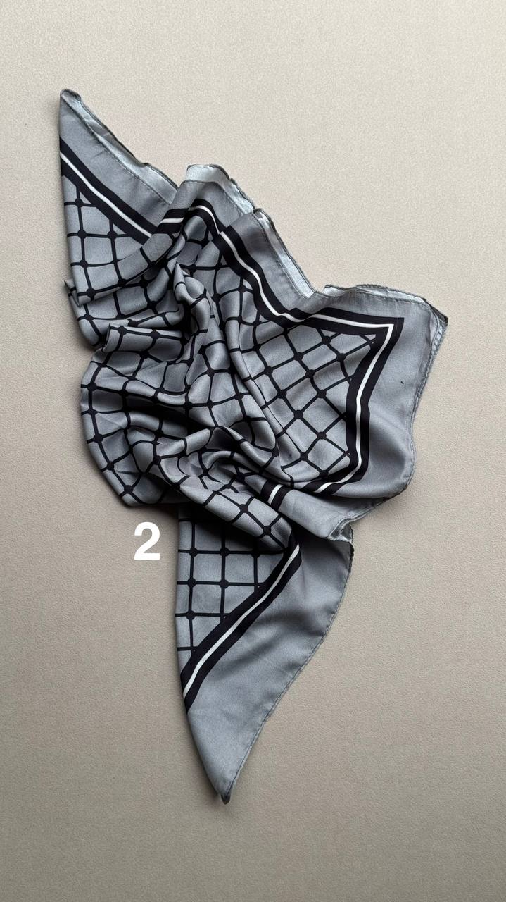 photo_7_2025-02-12_12-47-03