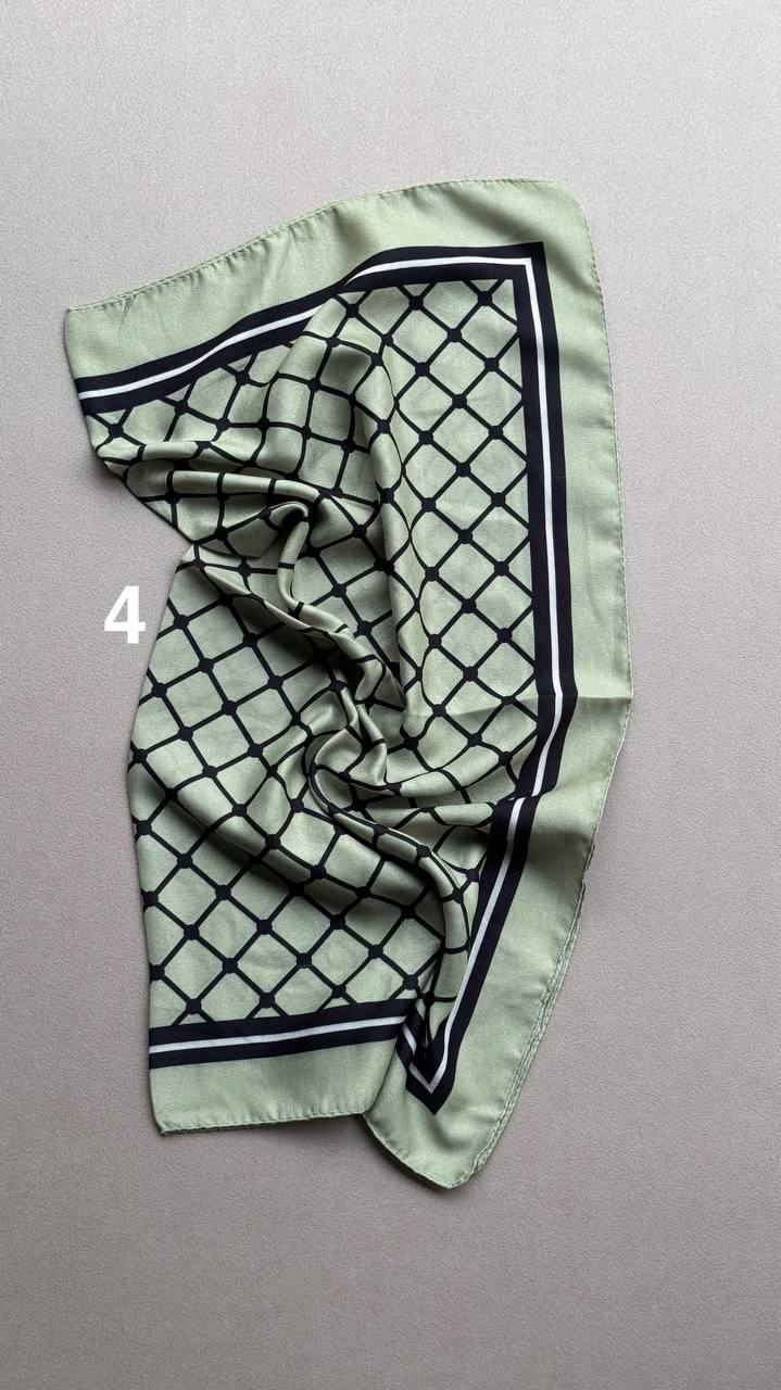 photo_9_2025-02-12_12-47-03