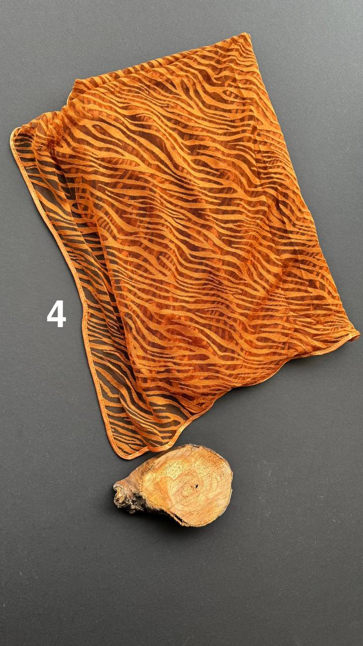 photo_9_2025-02-15_10-46-47