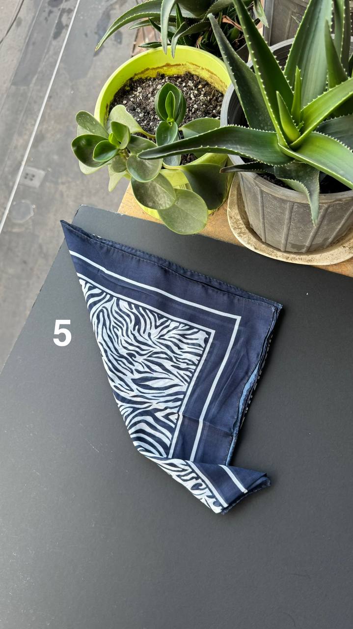 photo_10_2025-09-05_21-27-54