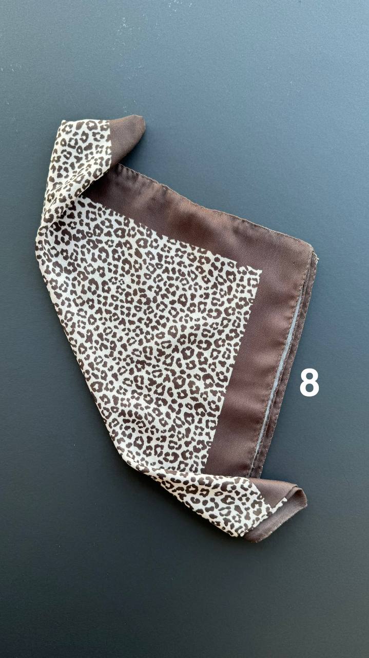 photo_11_2025-03-12_10-02-45