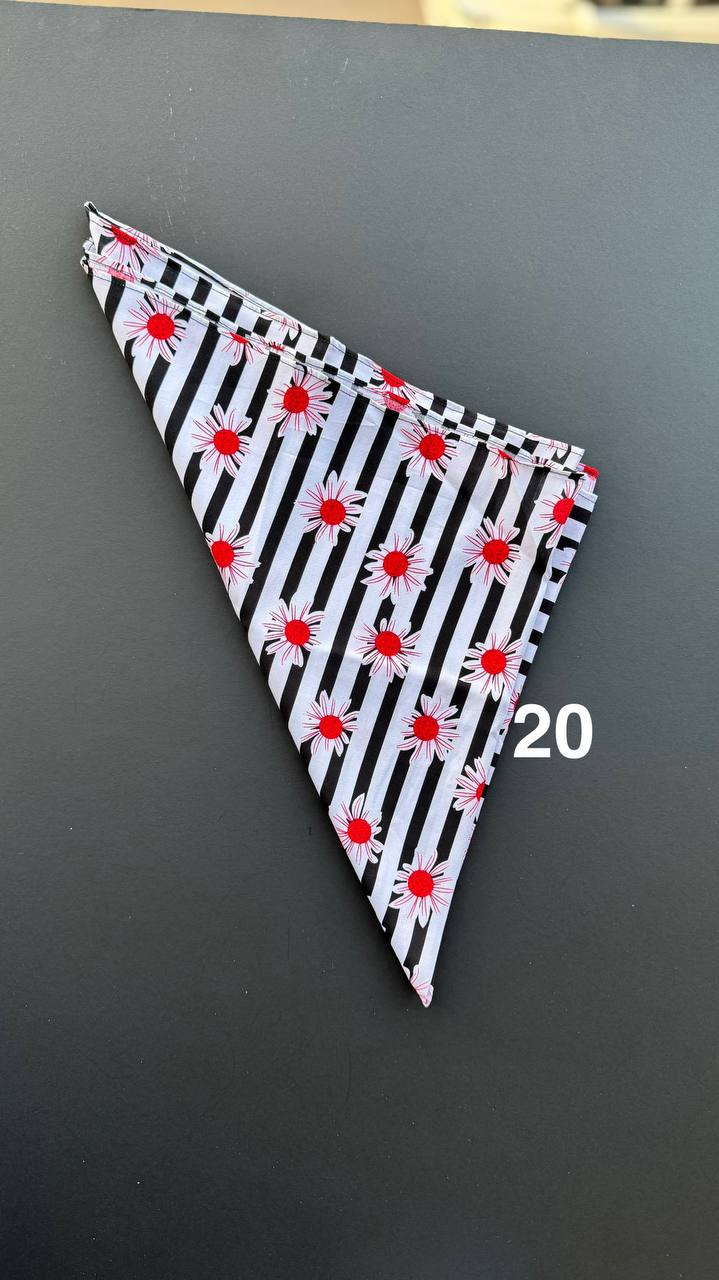 photo_11_2025-03-27_10-18-05