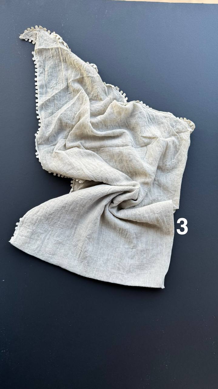 photo_11_2025-03-27_16-24-59