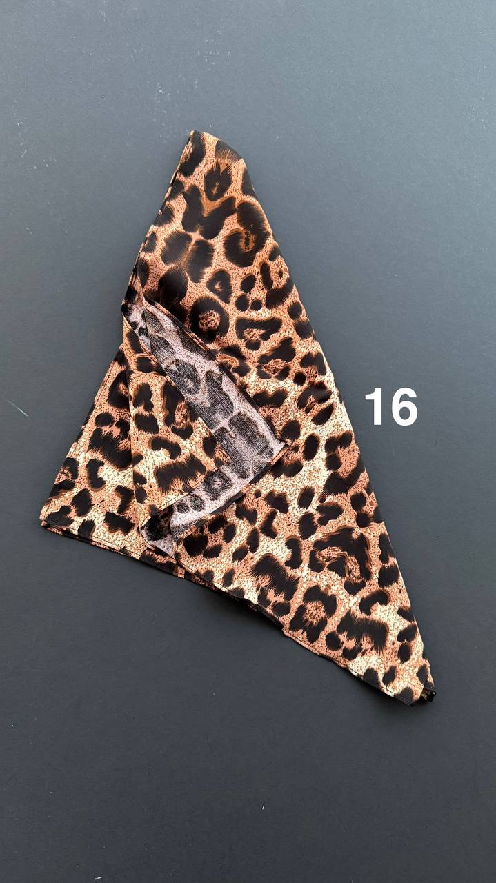 photo_12_2025-03-16_10-16-54