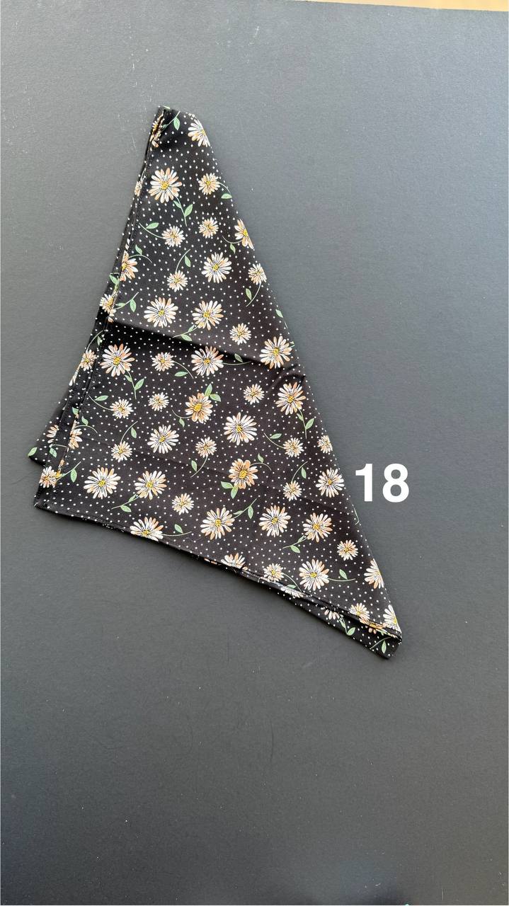 photo_13_2025-03-27_10-18-05