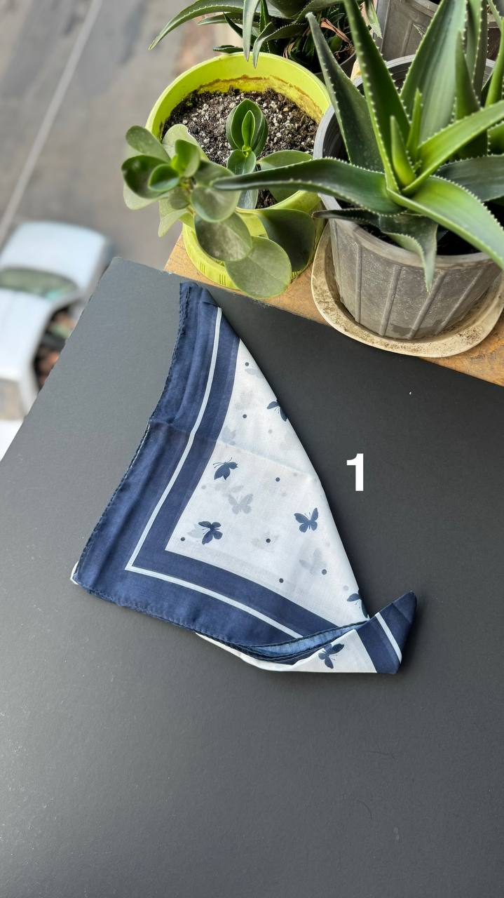 photo_13_2025-09-05_21-27-54