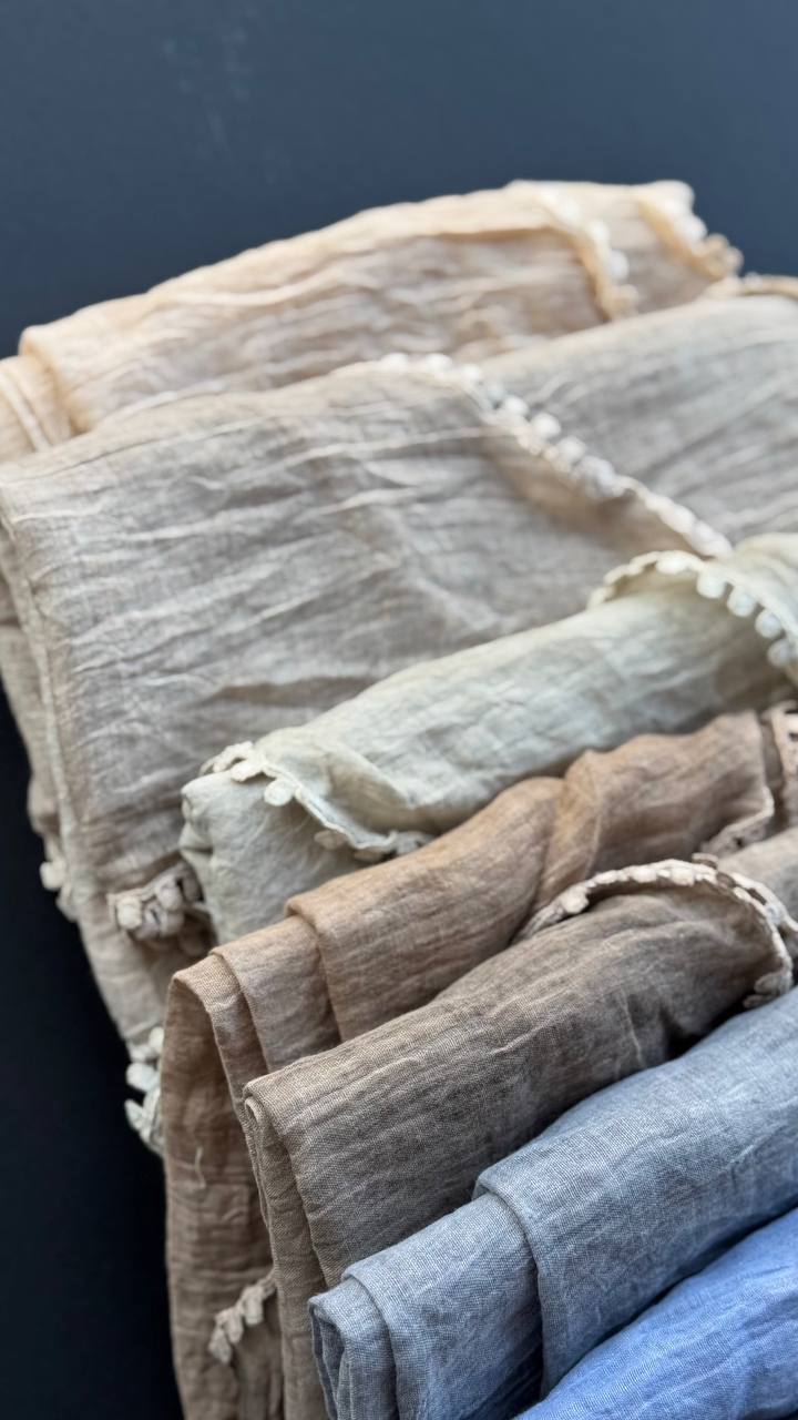 photo_1_2025-03-27_16-24-59