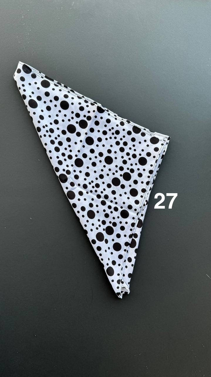 photo_2_2025-03-27_10-18-05