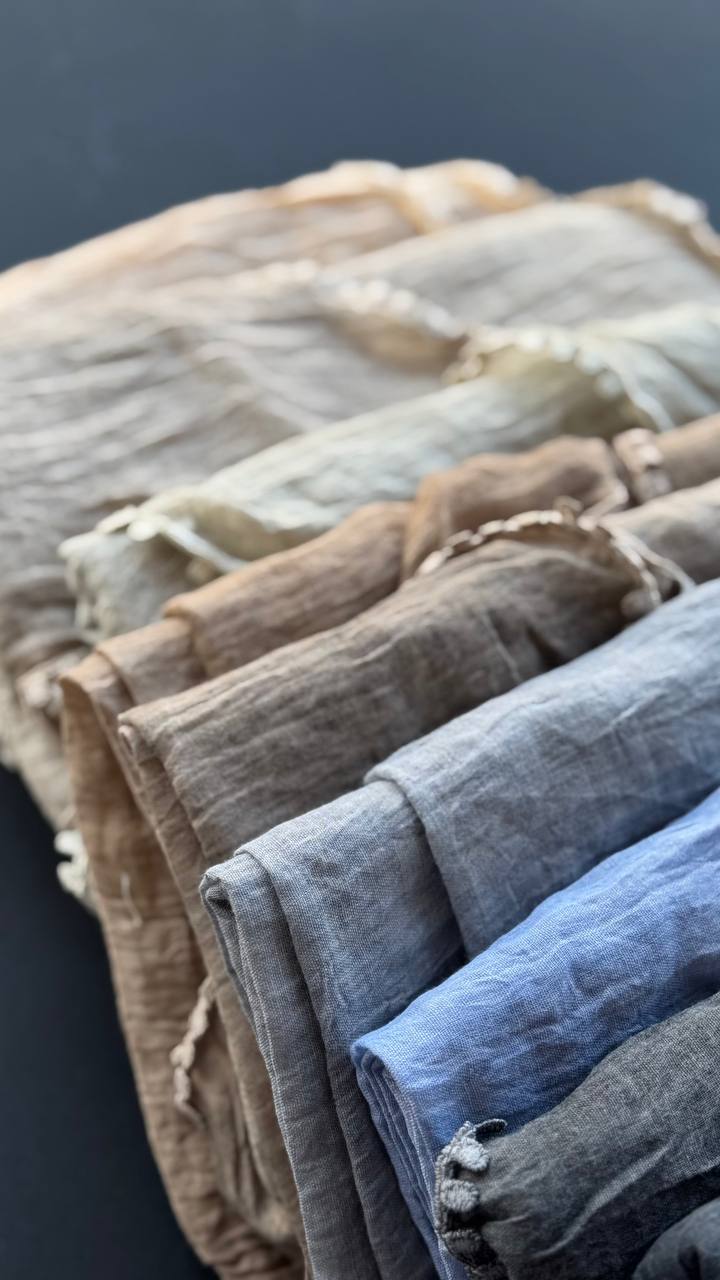 photo_2_2025-03-27_16-24-59