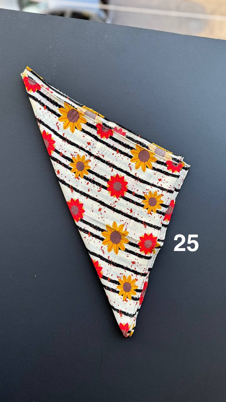 photo_3_2025-03-27_10-18-05