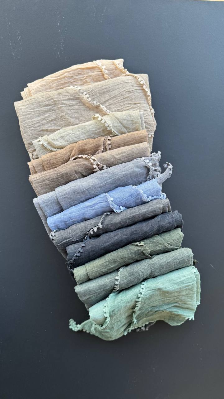 photo_4_2025-03-27_16-24-59