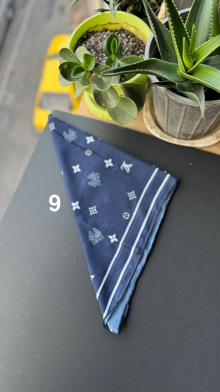 photo_5_2025-09-05_21-27-54