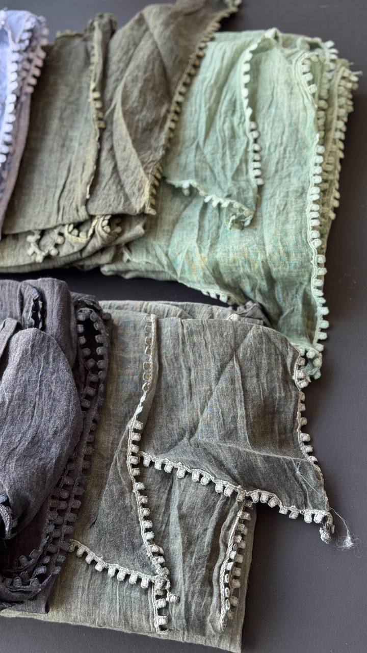 photo_6_2025-03-27_16-24-59