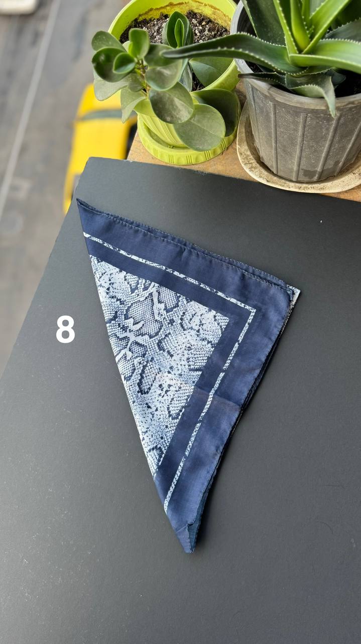 photo_6_2025-09-05_21-27-54