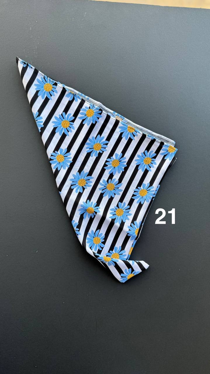 photo_7_2025-03-27_10-18-05