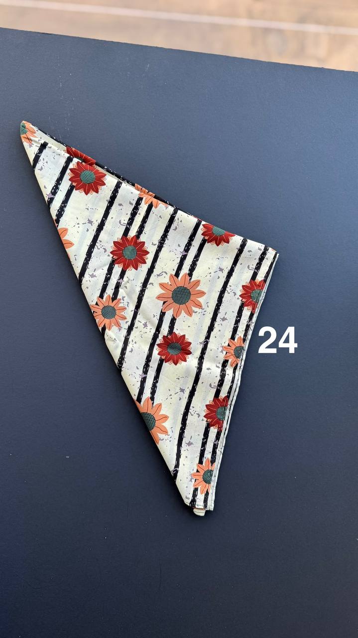 photo_8_2025-03-27_10-18-05