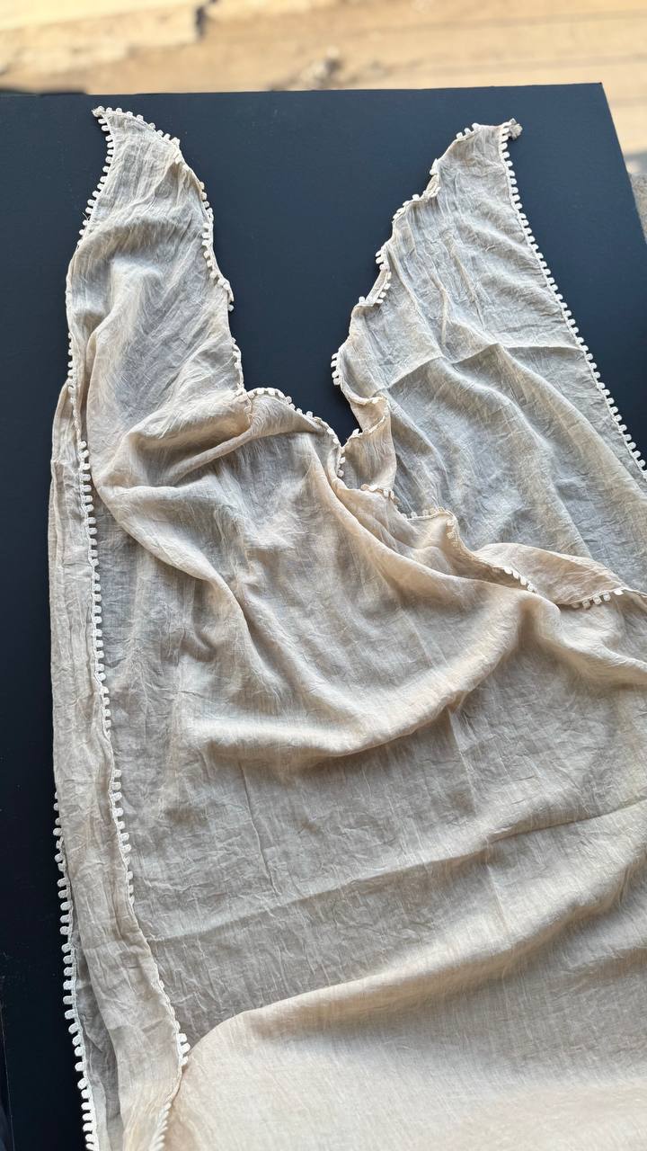 photo_9_2025-03-27_16-24-59