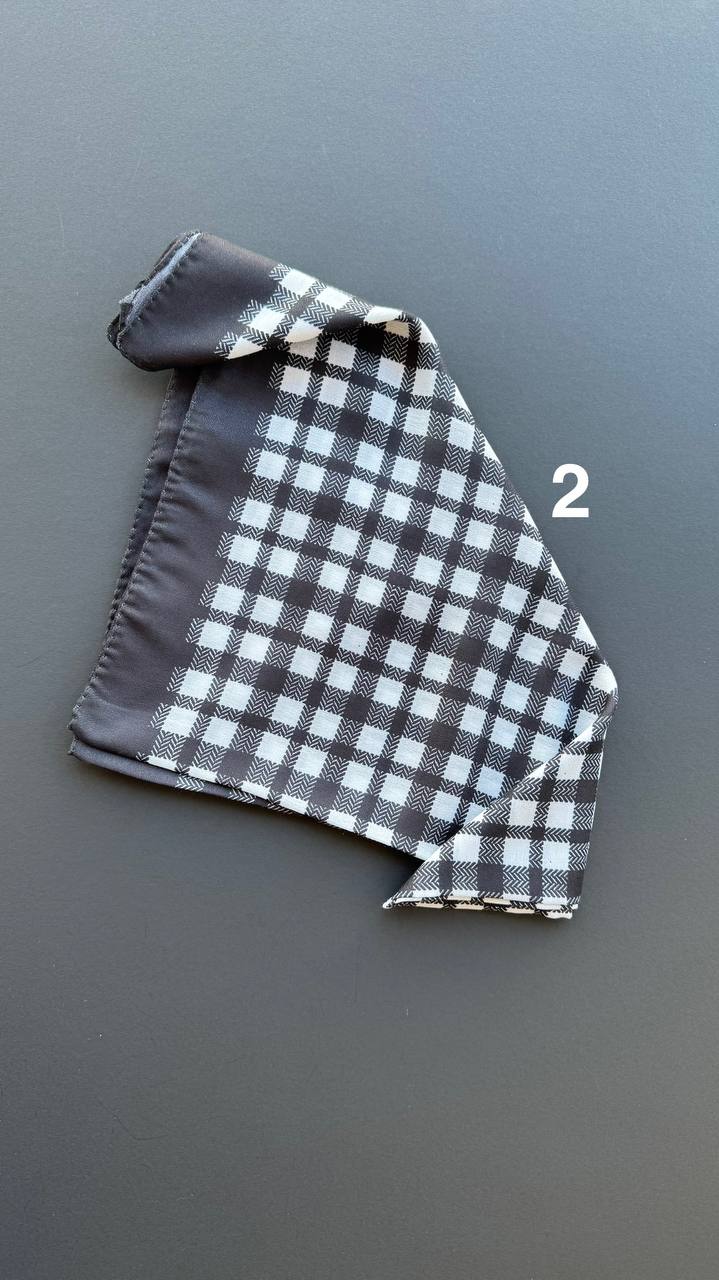 photo_16_2025-04-08_15-31-15