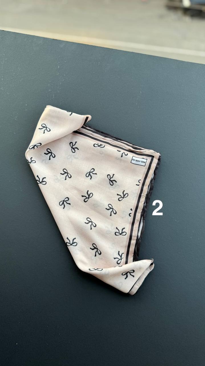 photo_3_2025-04-08_10-51-10