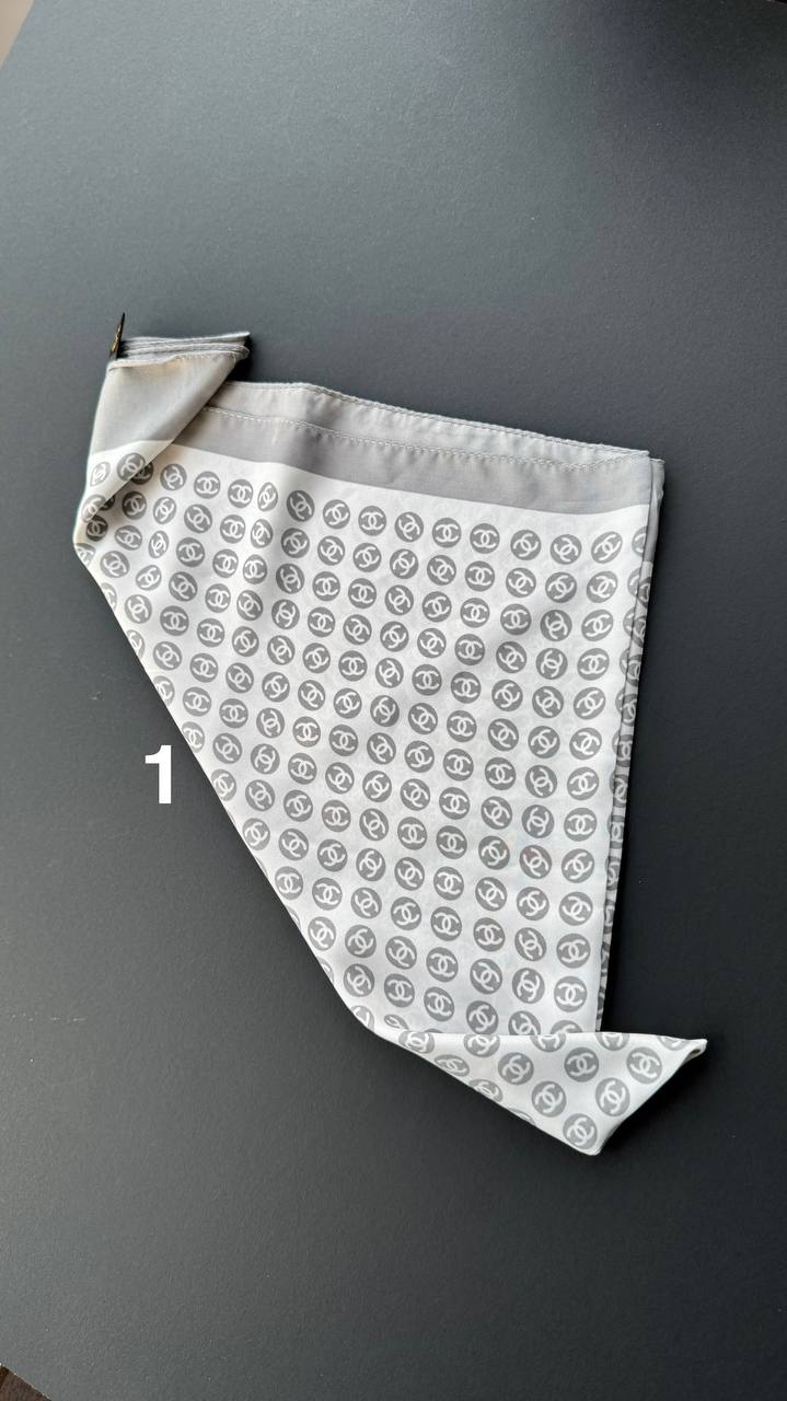 photo_3_2025-04-08_13-01-09