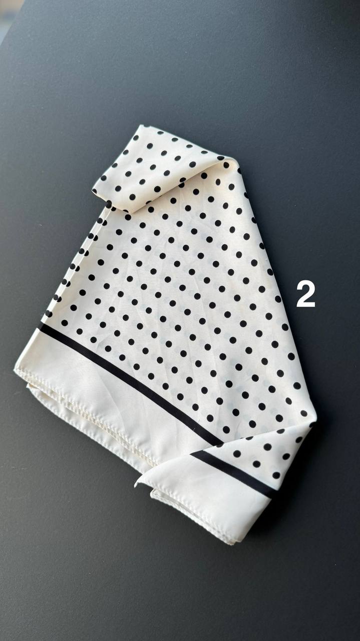 photo_3_2025-04-08_15-04-30