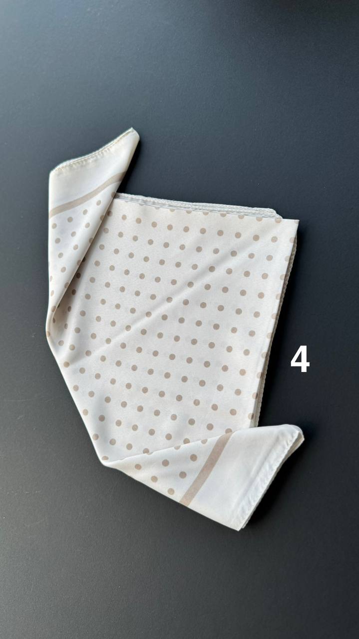 photo_4_2025-04-13_13-05-04