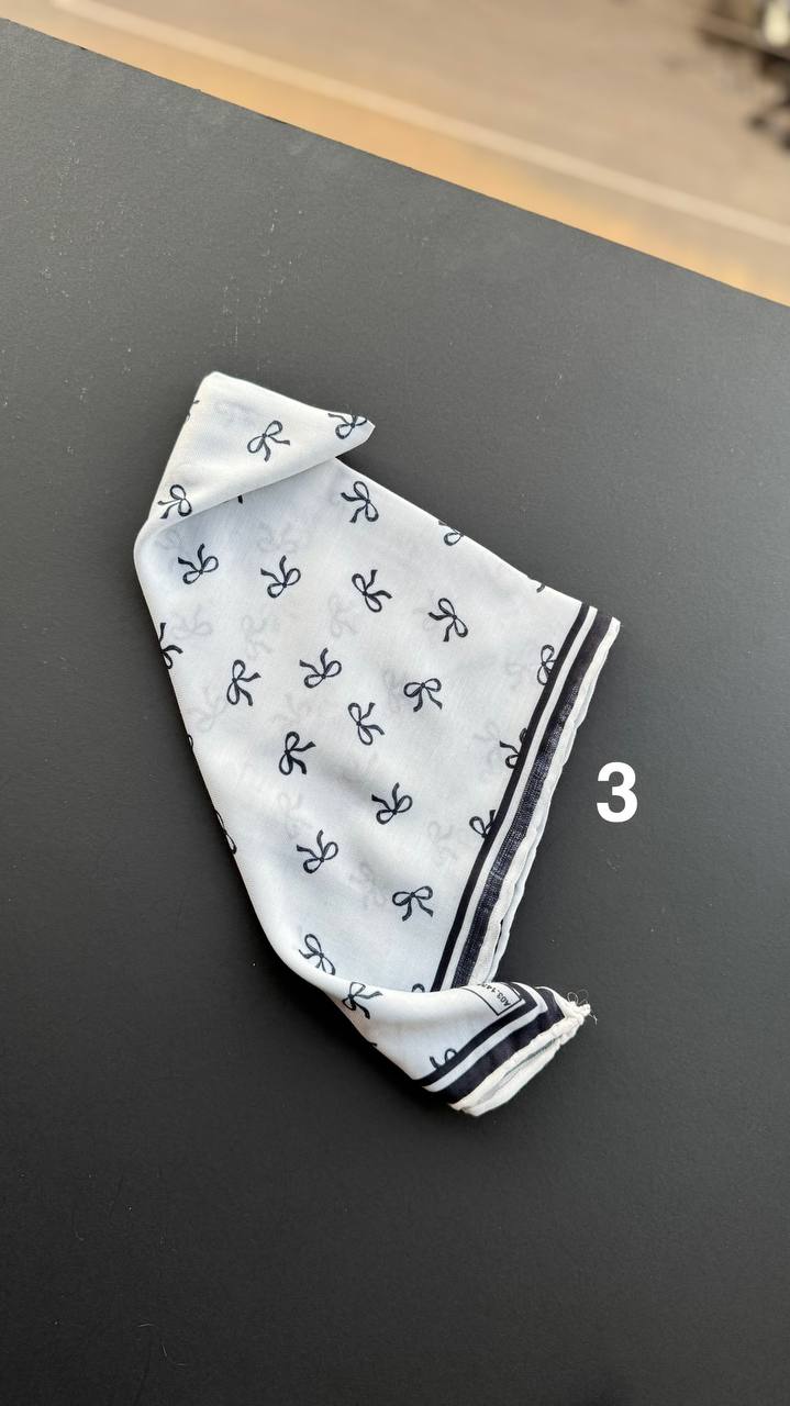 photo_5_2025-04-08_10-51-10