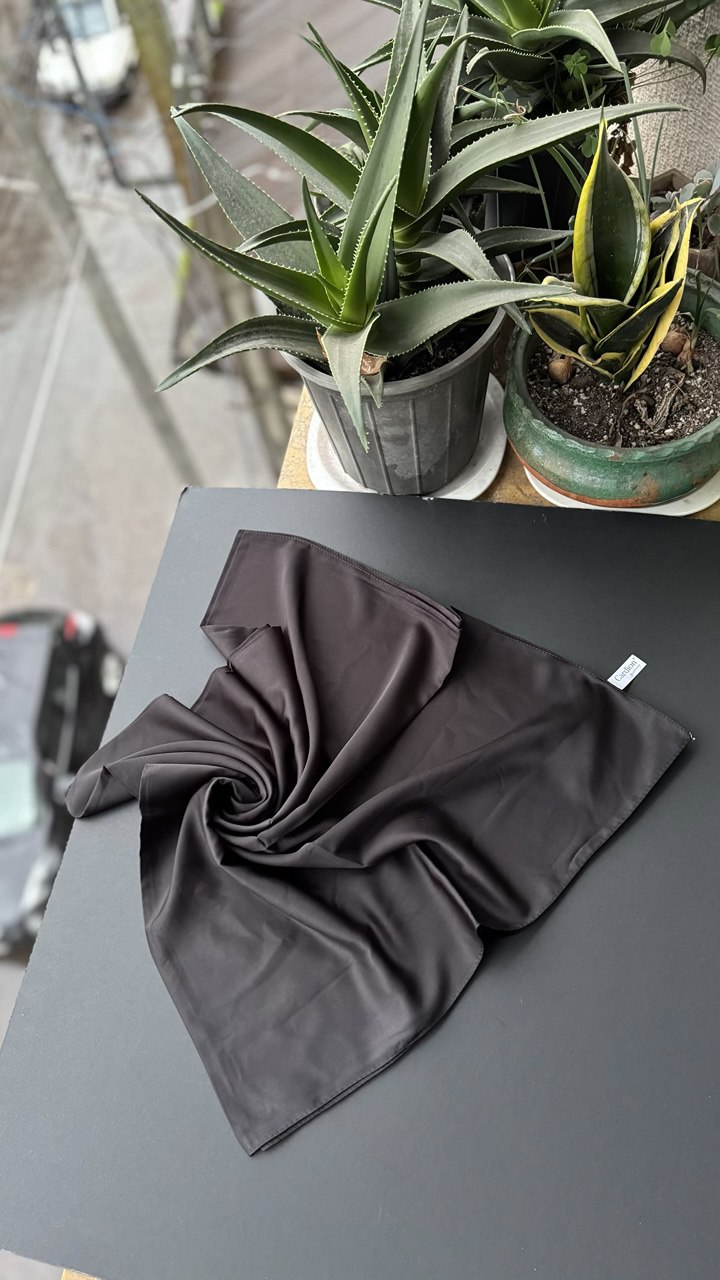 photo_1_2025-12-17_08-08-34