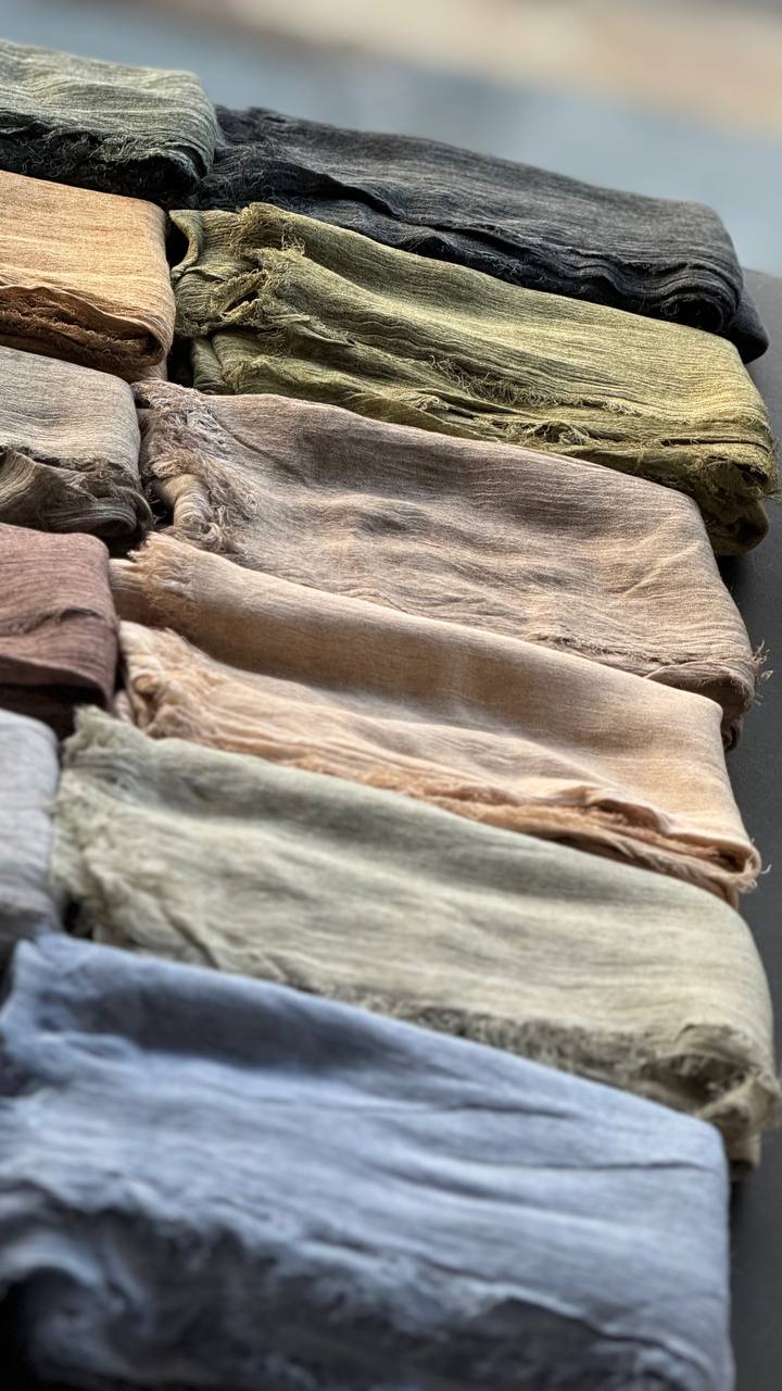 photo_1_2025-07-14_10-06-46