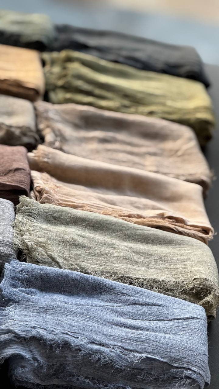 photo_2_2025-07-14_10-06-46