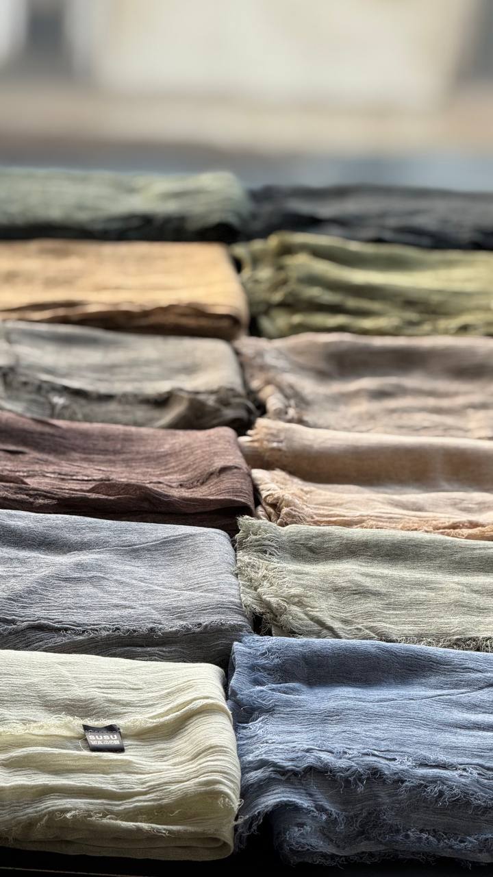 photo_3_2025-07-14_10-06-46