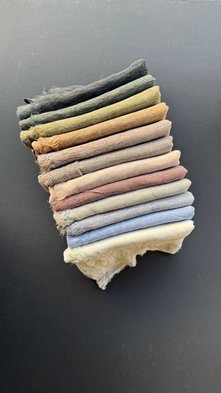 photo_6_2025-07-14_10-06-46