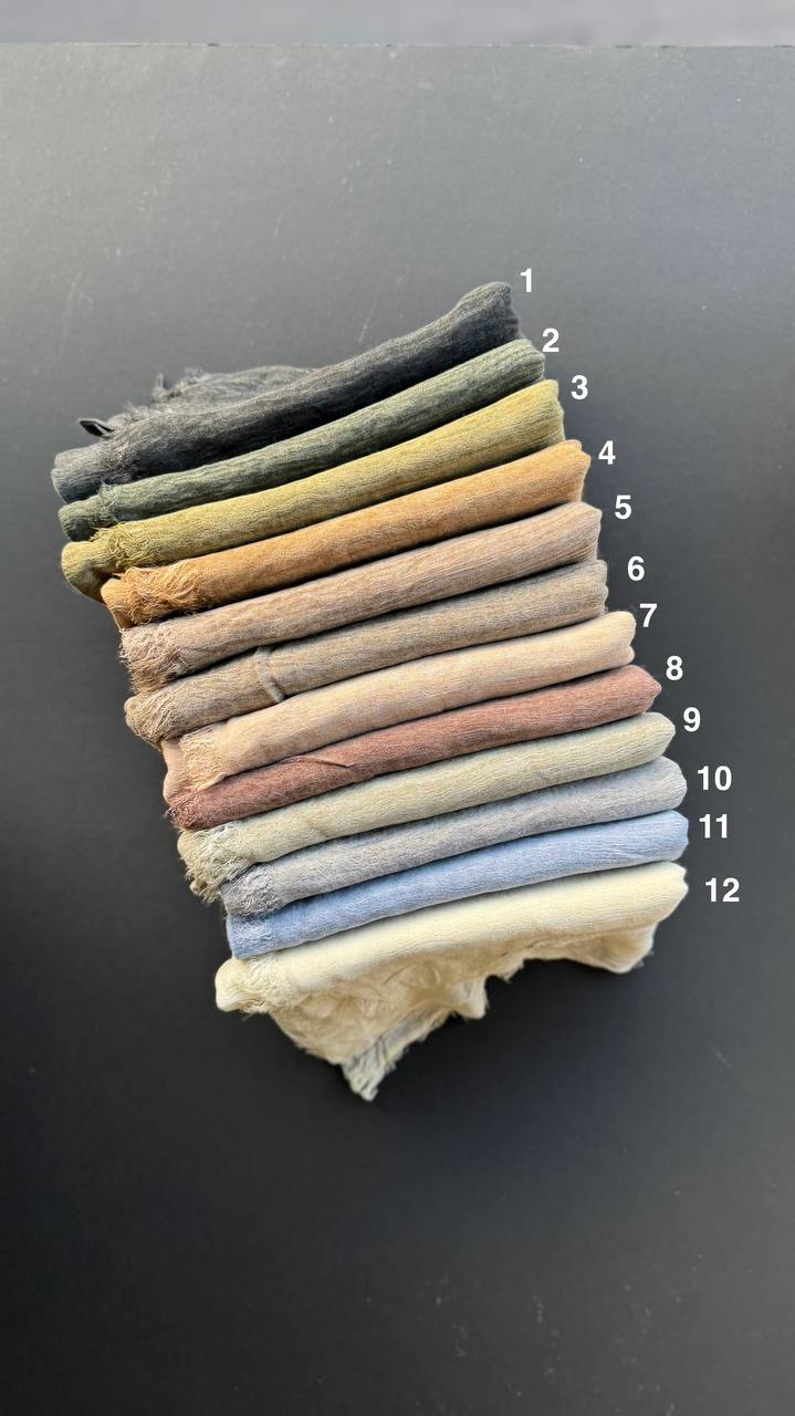 photo_7_2025-07-14_10-06-46