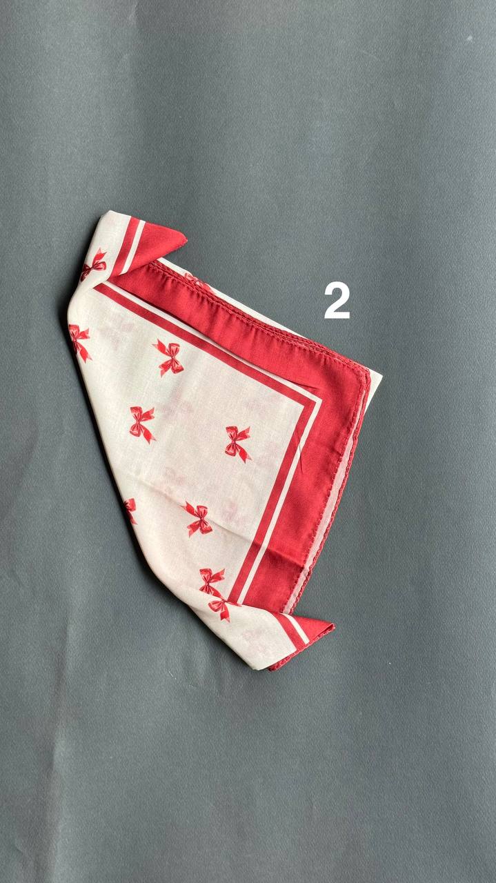 photo_10_2025-07-16_02-41-29