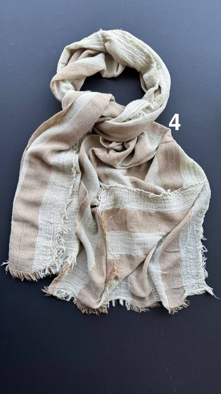 photo_1_2025-07-13_15-45-09