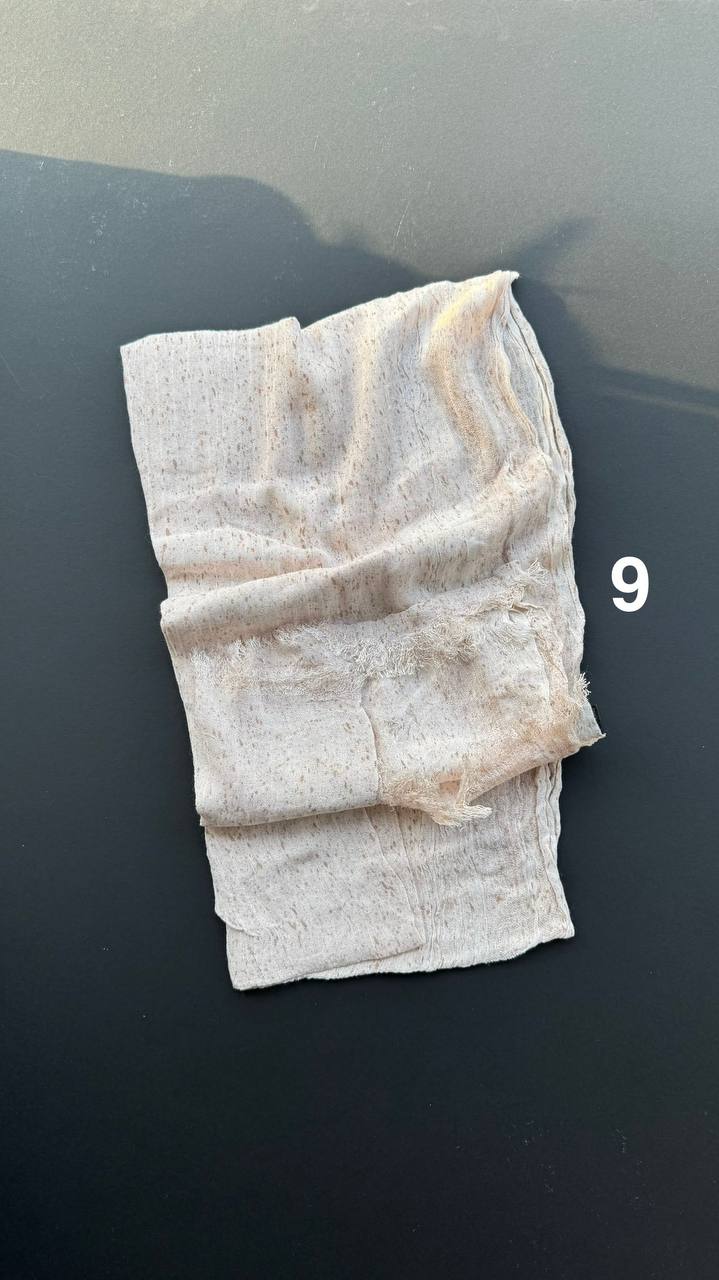 photo_1_2025-07-20_07-15-09