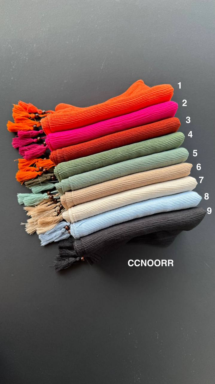 photo_1_2025-07-24_11-29-27