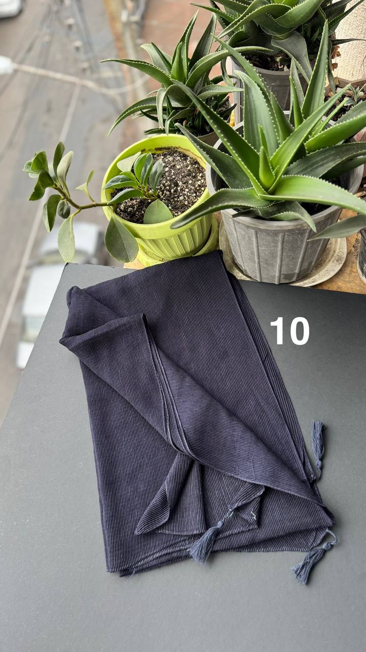 photo_1_2025-09-10_19-41-42