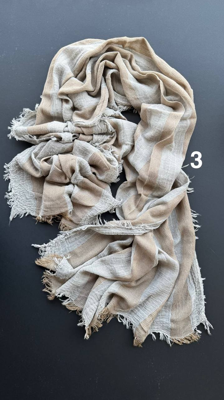 photo_3_2025-07-13_15-45-09