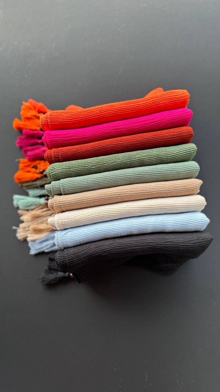 photo_4_2025-07-24_11-29-27