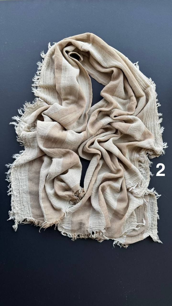 photo_5_2025-07-13_15-45-09