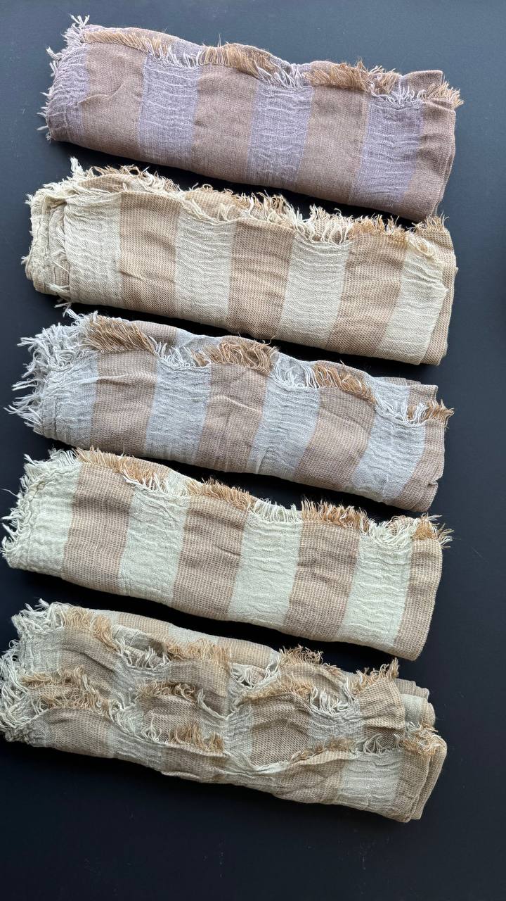 photo_7_2025-07-13_15-45-09