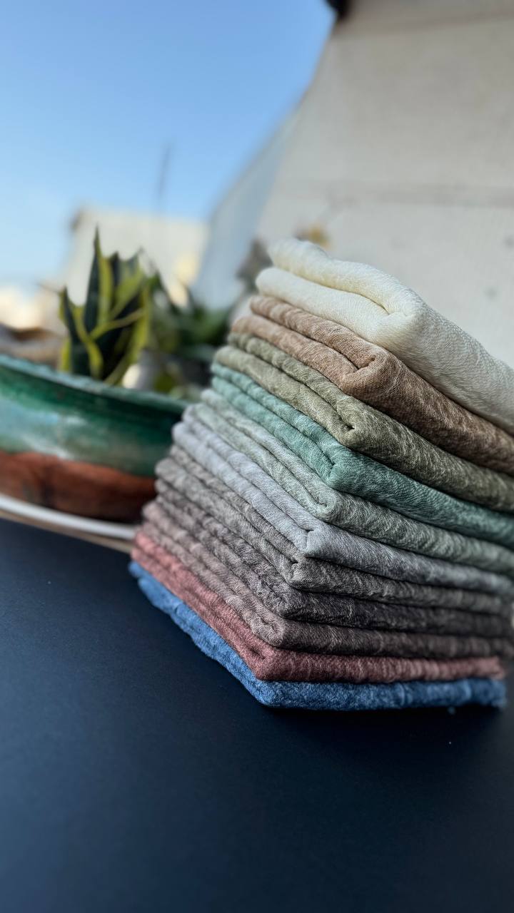 photo_10_2025-08-07_10-09-18