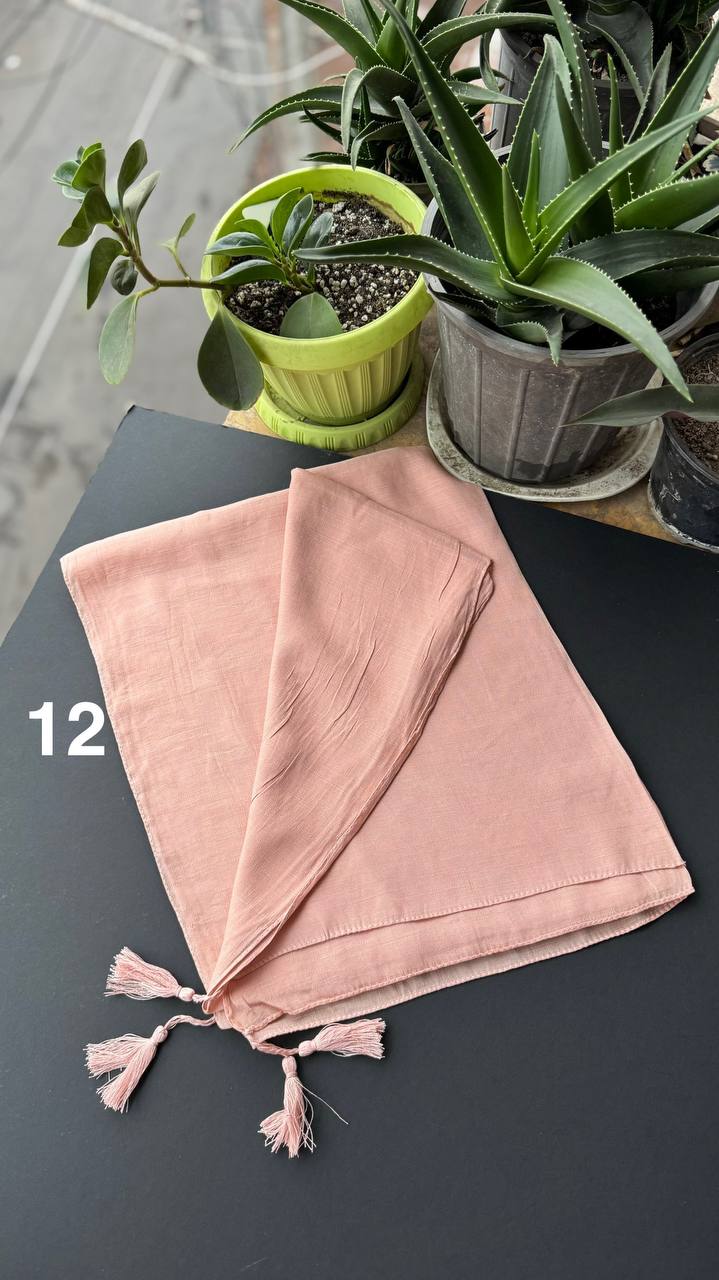 photo_10_2025-09-13_18-38-27